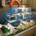 肴いちば - 店内に水槽があります