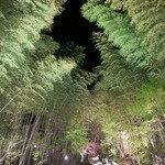 竹ふえ - 宿内は竹で囲まれています。