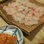 辰寿し - 鮟鱇刺身