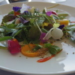 ミシェル・ブラス トーヤ ジャポン - 現在では“ クラシック ” 若野菜で仕上げたガルグイユー 発芽豆&ハーブ、香りをつけたレドプール