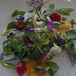 ミシェル・ブラス トーヤ ジャポン - 現在では“ クラシック ” 若野菜で仕上げたガルグイユー 発芽豆&ハーブ、香りをつけたレドプール