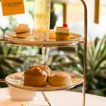 ル・ジャルダン - 新緑アフタヌーンティー