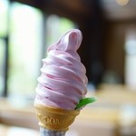 滝野すずらん丘陵公園 - チューリップソフト