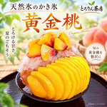 とろりん茶房 - 料理写真: