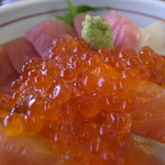 お魚プロジェクト - イクラアップで