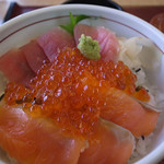 Osakanapurojekuto - 三色丼です