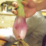 ラ・スタッラ - 2015/05/16：ルンガロッサ（玉ねぎ）