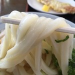 根ッ子うどん - ピッチピチの食感、すばらし～です。