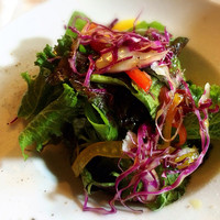Ristorante IL FIGO INGORDO - 