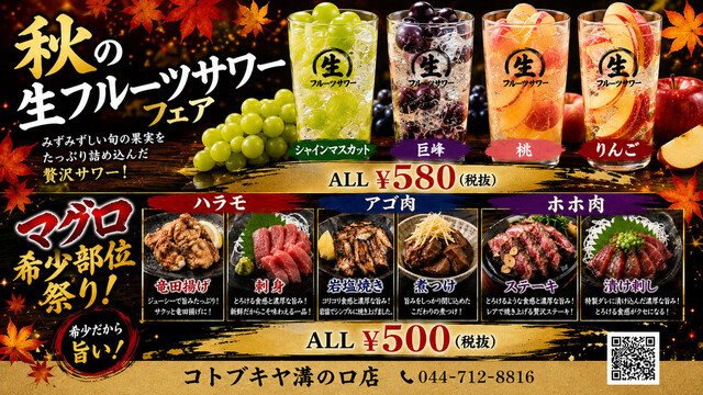 ことぶきや 溝の口店
