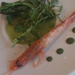 ル・ジュー・ドゥ・ラシエット  - 天使の海老 春菊のソース
