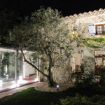 あざみ野うかい亭 - 小豆島から運ばれてきた大きなオリーブの木