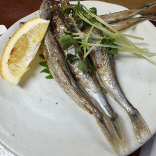 新日の基_1