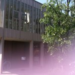 ダンディゾン - 