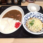 はなまるうどん - 料理写真:はなまるセット870円