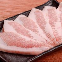 岩中豚 ピートロ