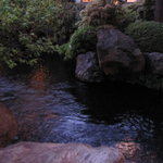 横浜うかい亭 - 