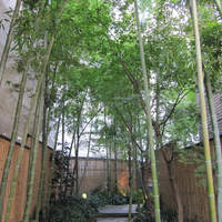 赤坂 菊乃井 - 