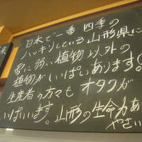 ヤマガタ サンダンデロ - 