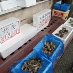 魚賣場　森田水產 那珂湊魚市場前