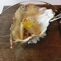 MAISON LAFITE - 