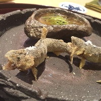 料理屋 植むら - 