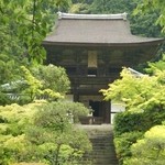 里 - 新緑に包まれる円成寺さん