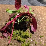 フロリレージュ - すっぽんと抹茶