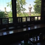 竹やぶ - 窓の景色