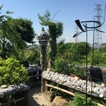 竹やぶ - 手賀沼方向を望む