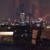 SAKURA - 
