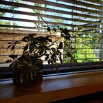 むさしの森珈琲 - ドリンク写真: