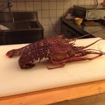 はらまさ - 巨大伊勢海老