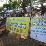 Hawaiian Crown Pineapple - 2012年のKCCファーマーズマーケット