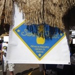 Hawaiian Crown Pineapple - 2012年の外観