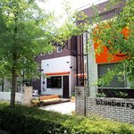 ブルーベリー 三島店