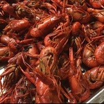 天天鲜烤吧 - ザリガニビンボー！