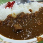 Toyamachuuoushoshokudou - カレー（税込440円）