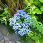 ユカフェ - このあたりこれからですね。