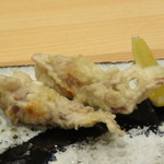 鮨 心白 - 【再訪２】ホタルイカの天ぷら