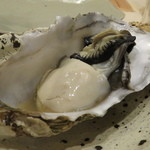 鮨 心白 - 【再訪２】東松島の牡蠣