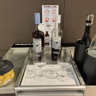 Munich Airport Lufthansa Business Lounge G_1