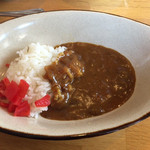 Sanshuu Rou - 特製カレー:器も本格的 横にスパイスがあるが元がスパイシー