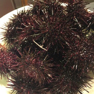 大衆酒場 金魚_1