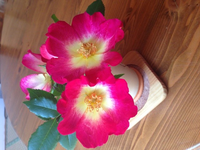 cafe とまとの店 &ndash; 秋田のカフェで味わう手作りスイーツとランチ