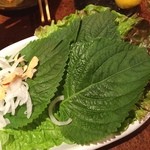 sumibiyakinikuhommachi - 葉っぱはね、
                        肉と相性が… 
                        良いんだよ。