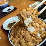 ぬいどう食堂 - 生ウニ丼