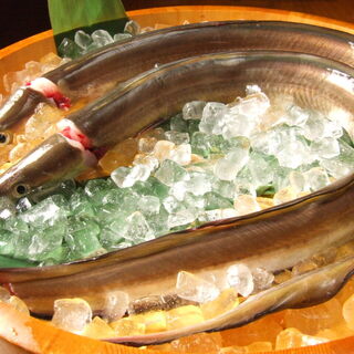 浅草 魚料理 遠州屋_0