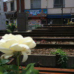 南インド料理 なんどり - 都電荒川線路脇の店