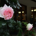 ル・パティシエ ヨコヤマ - (2015,05/16)